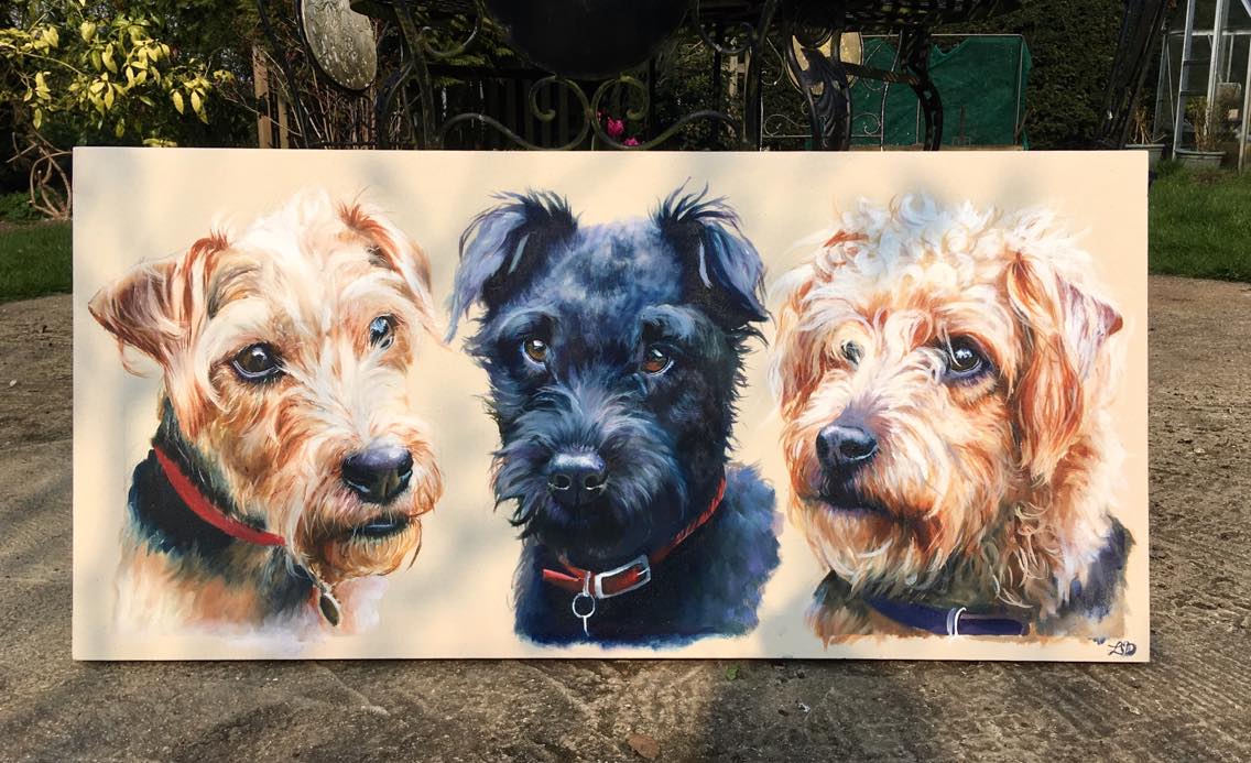 67445059_502814980261401_5565982727456423936_n