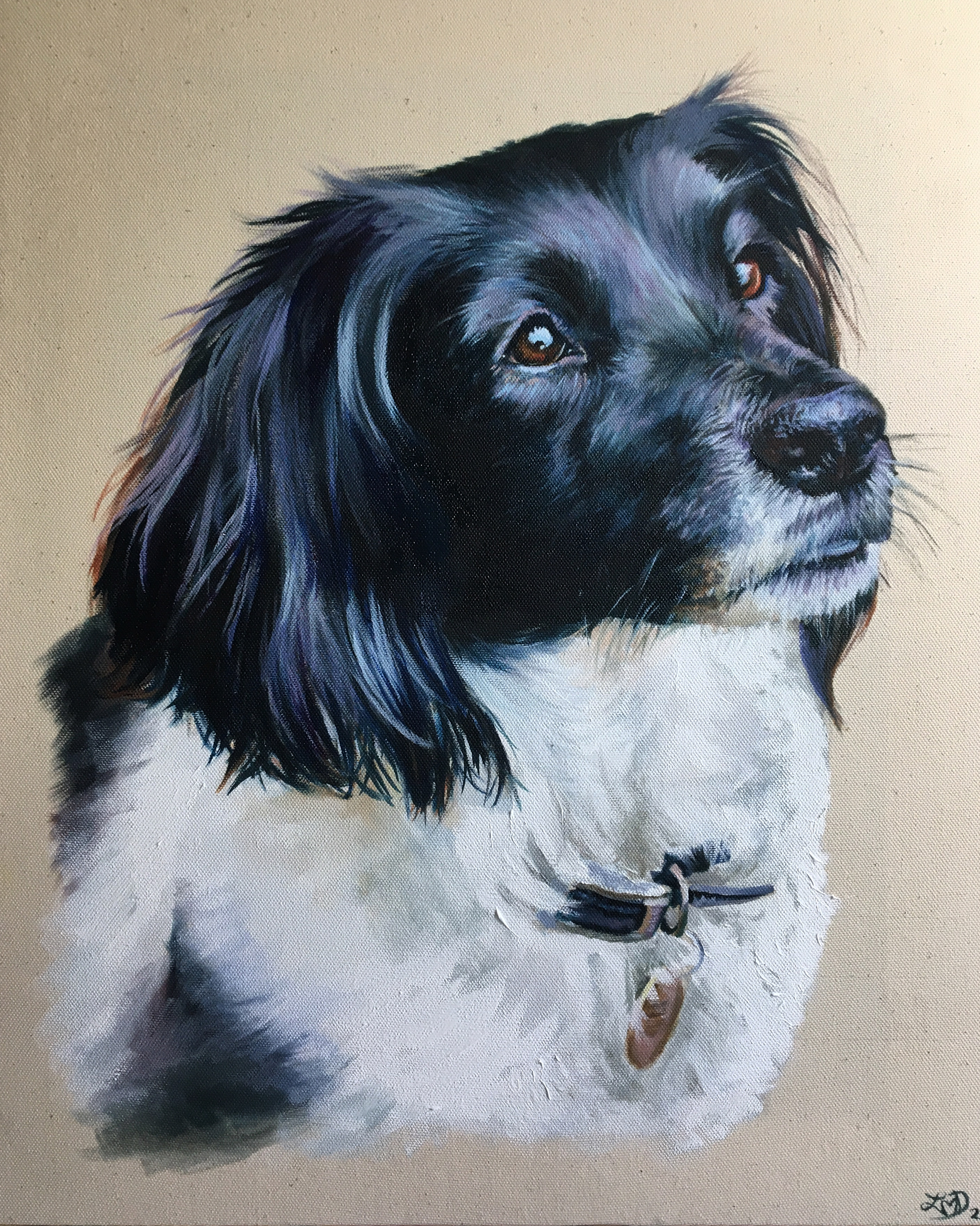 1B745D85-D433-4B7D-B27D-EB4FE8A9526F